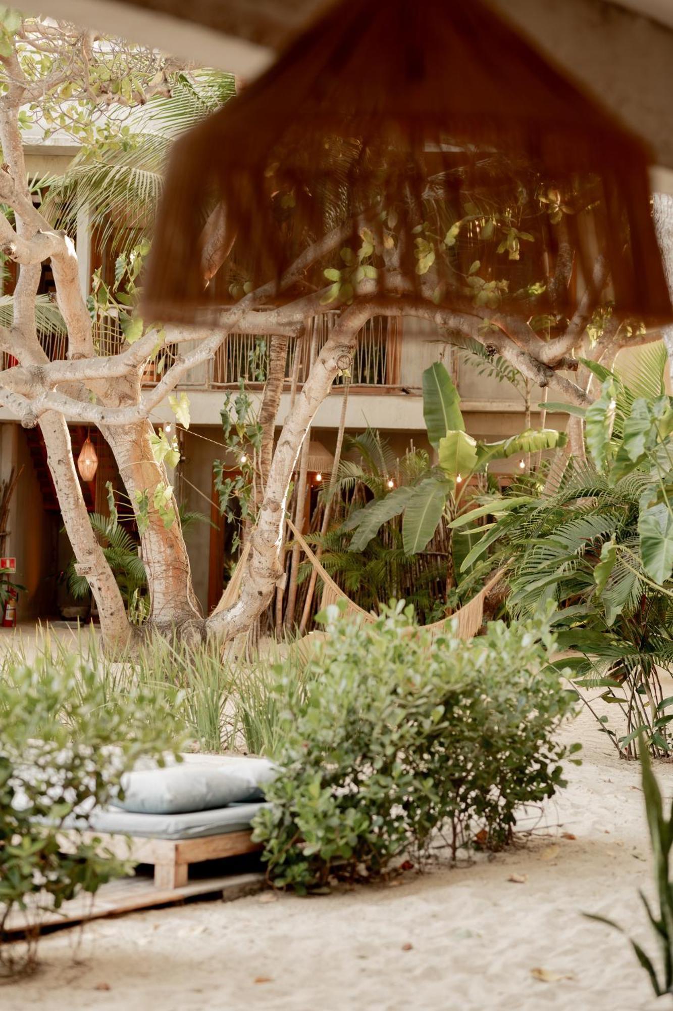 Villa Mango Jeri Jijoca de Jericoacoara Exterior foto