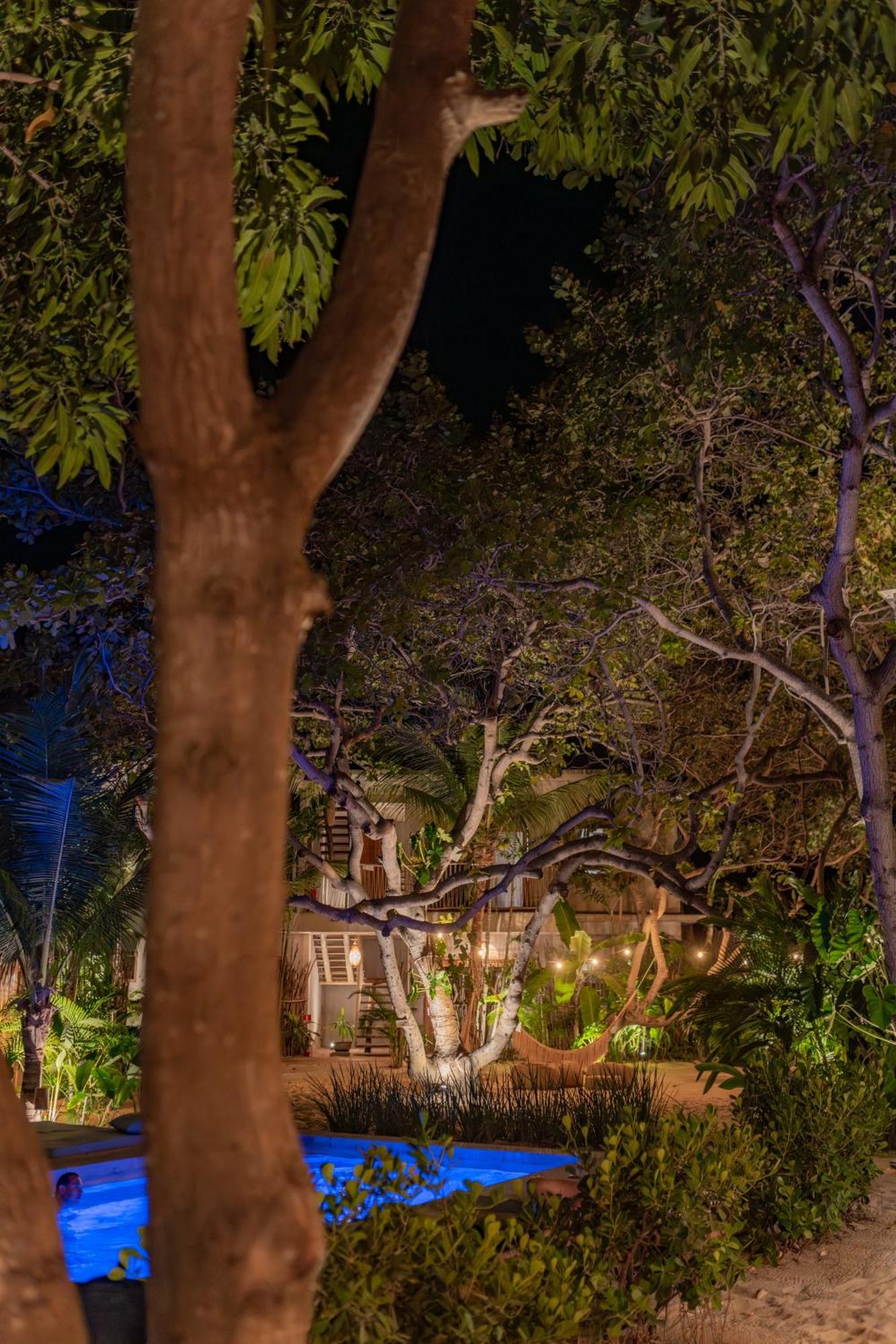 Villa Mango Jeri Jijoca de Jericoacoara Exterior foto