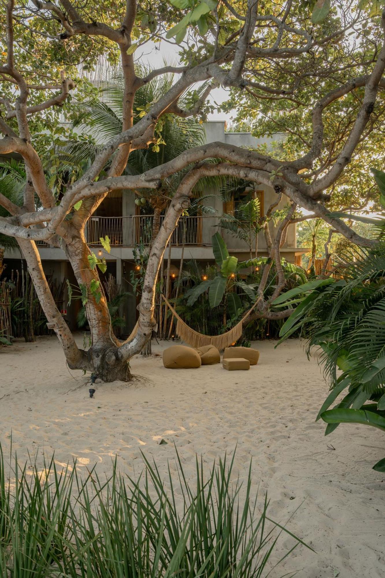 Villa Mango Jeri Jijoca de Jericoacoara Exterior foto
