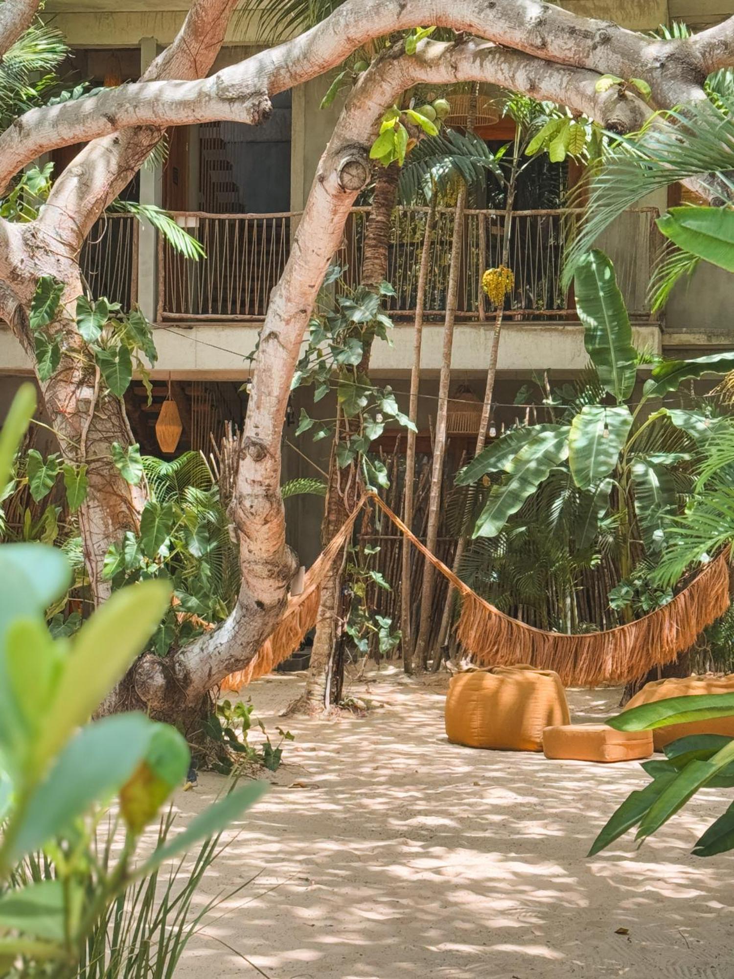 Villa Mango Jeri Jijoca de Jericoacoara Exterior foto